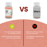 Joint Care (Capsules)