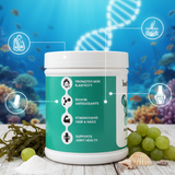 Healthylane Marine Collagen Powder