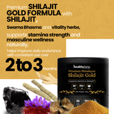 Healthylane Himalayan Shilajit Gold