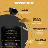 Healthylane Himalayan Shilajit Gold