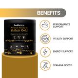 Healthylane Himalayan Shilajit Gold